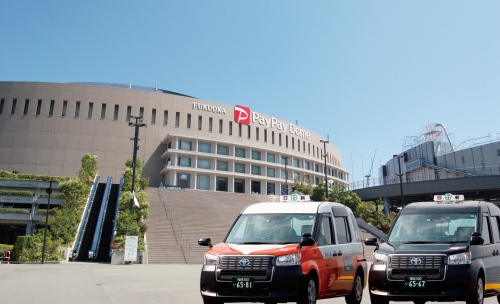 日新交通株式会社 (観光ドライバー)の画像2