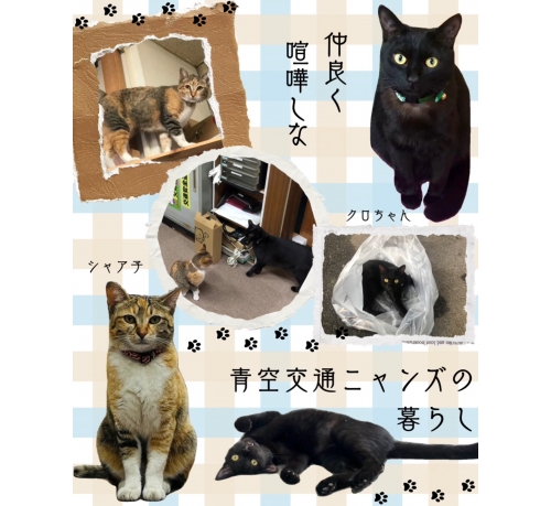 青空交通有限会社の画像2