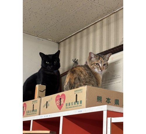 青空交通有限会社の画像6