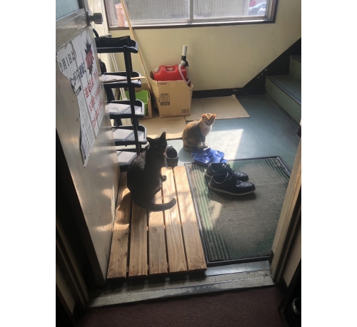 青空交通有限会社の画像8